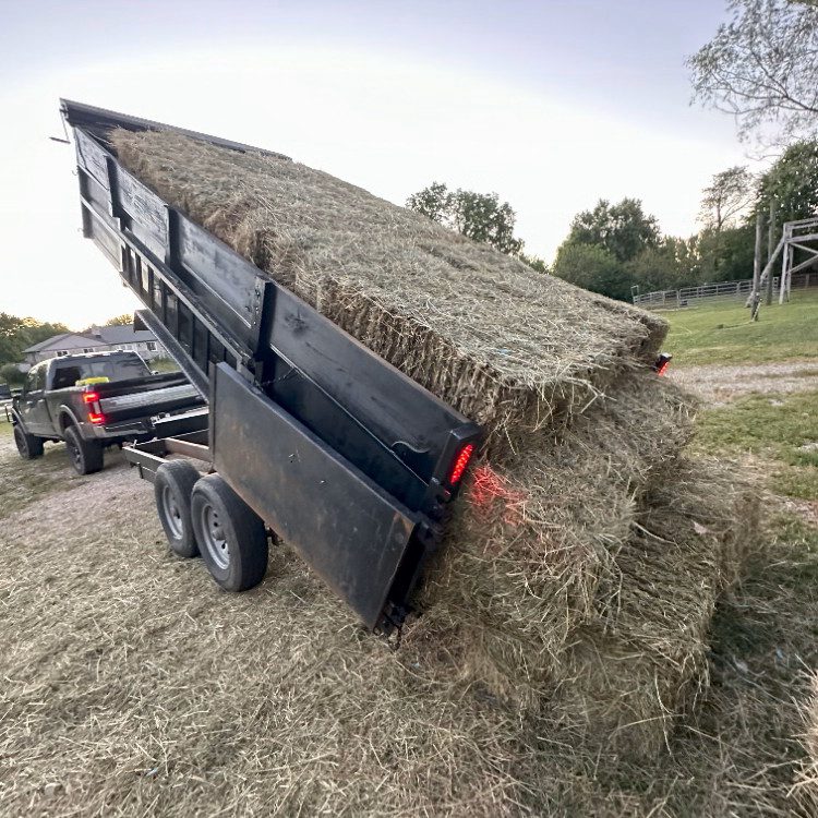 Land Management in Greenfield, IN