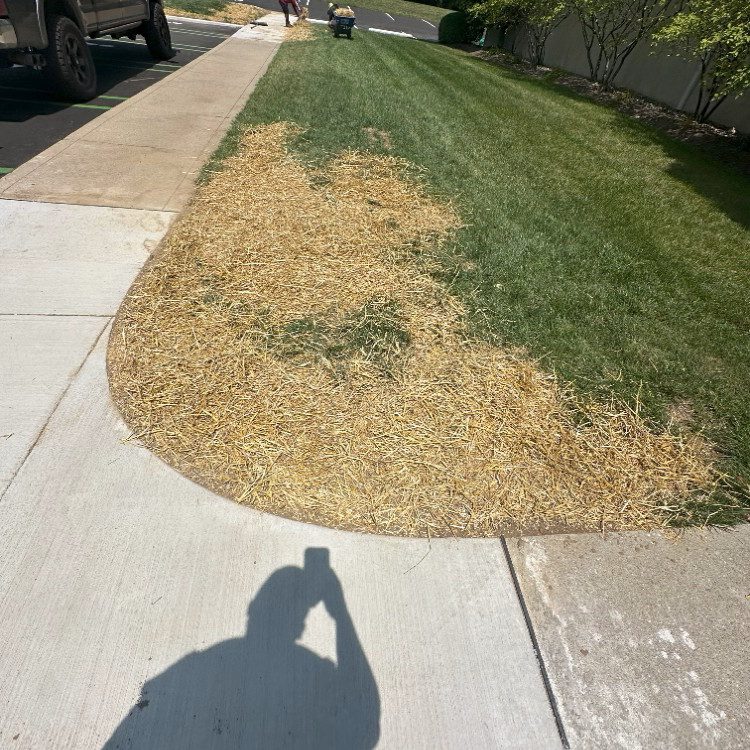 Land Management in Greenfield, IN